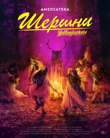 Шершни сериал 2021 смотреть онлайн бесплатно в хорошем качестве HD